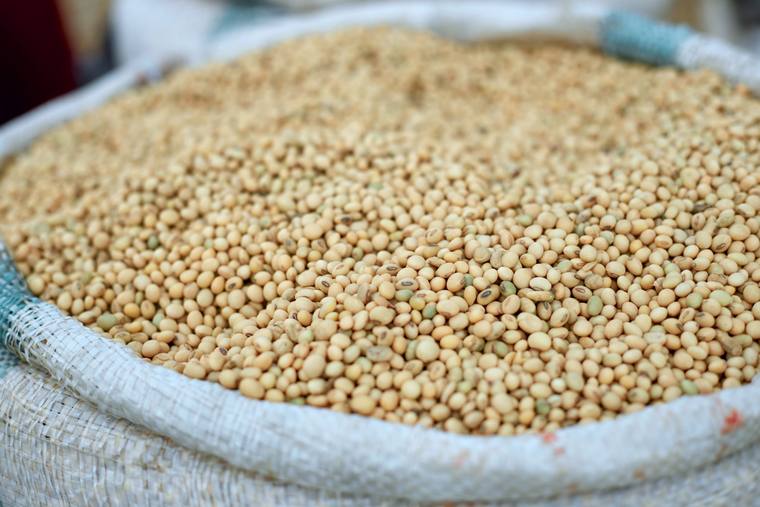 Soybeans in a sack